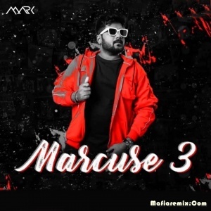 Insane (Mashup) - DJ Mark