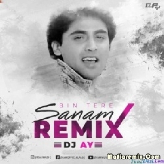 BIN TERE SANAM - DJ AY REMIX