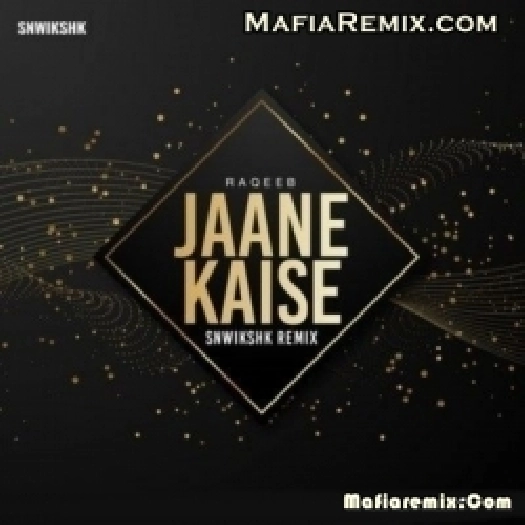 Jaane Kaise - Raqeeb (Remix) - Snwikshk