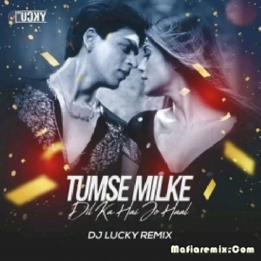 Tumse Milke Dil Ka (Remix) - DJ Lucky