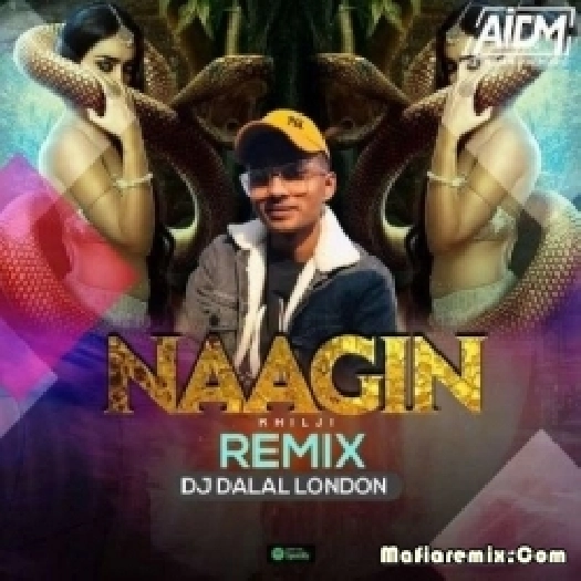 Naagin (Original Mix) - Khilji Music x DJ Dalal