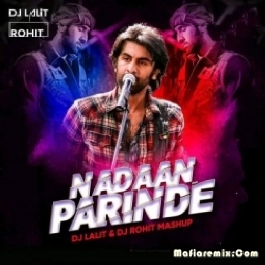 Nadaan Parinde (Mashup) - DJ Lalit n DJ Rohit