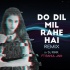 Do Dil Mil Rahe Hai (Remix) - DJ Rink