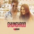 Ghungroo (Remix) - DJ Rink