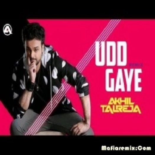 Hum Toh Udd Gaye - Ritviz (Remix) - DJ Akhil Talreja