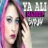 Ya Ali (Mashup) - DJ Syrah