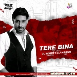 Tere Bina (Remix) - Dj Rohit Sharma X Harsh Jbp