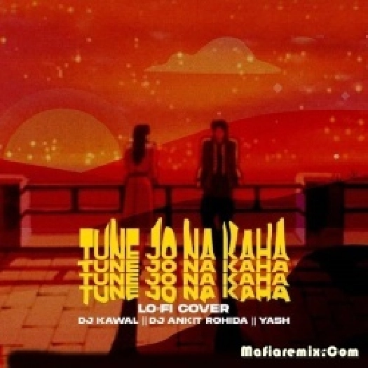 Tune Jo Na Kaha (Lo-Fi Remix) - DJ Kawal x DJ Ankit Rohida x Yash