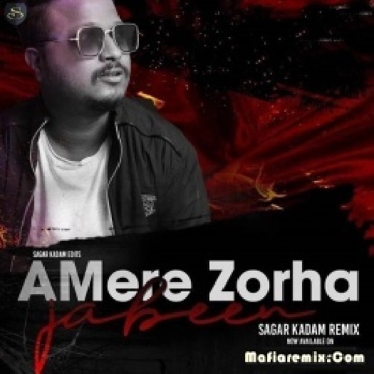 Aye Mere Zorha Jabeen (Remix) - Sagar Kadam