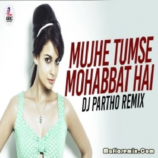 Mujhe Tumse Mohabbat Hai Remix - Dj Partho