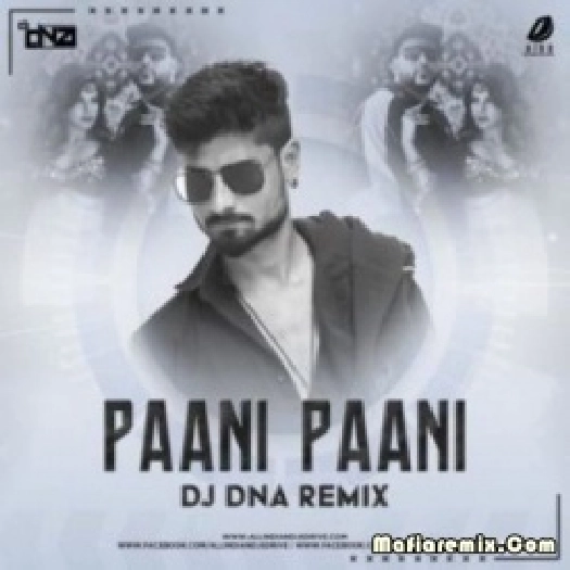 Paani Paani (Remix) - DJ DNA