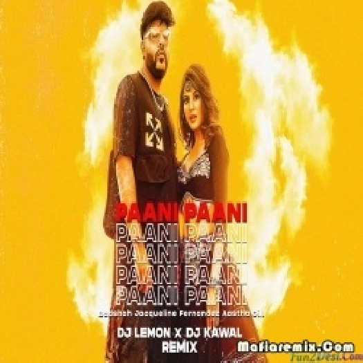 Paani Paani Remix - DJ Lemon X DJ Kawal - Badshah