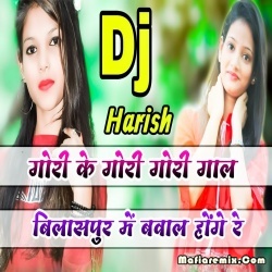 Gori Ke Gori Gori Gal Bilashpur Me Bawa Hoge Re - Full To Bass CG Dance Mix - Dj Harish
