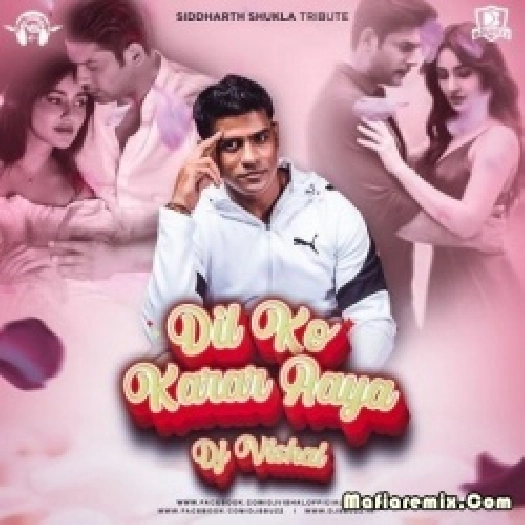 Dil Ko Karaar Aaya - Siddharth Shukla Tribute (Remix) - DJ Vishal