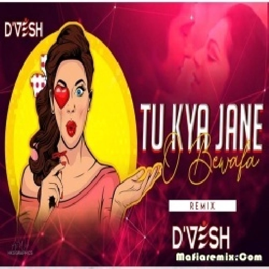 Tu Kya Jane O Bewafa - Hema Malini (Remix) - DJ DVESH