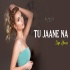 Tu Jaane Na (Remix)