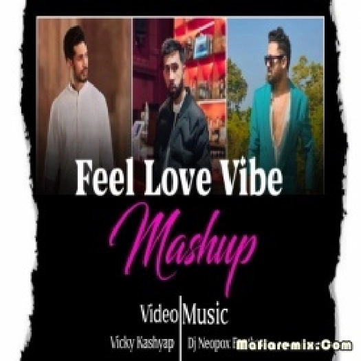 Feel Love Vibe Mashup Dj Neopox Brothers x Vicky Kashyap