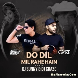 Do Dil Mil Rahe Hain (Pardes) (Remix) - DJ Sunny x DJ Craze