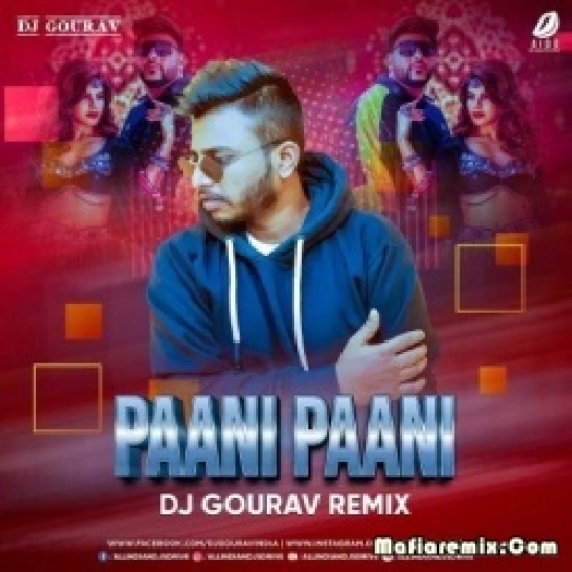 Paani Paani - Badshah (Remix) - DJ Gourav