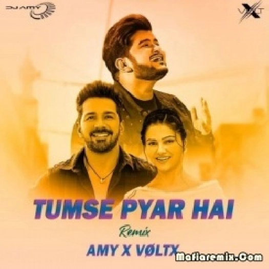 Tumse Pyar Hai - Ft. Vishal Mishra (Remix) - Amy x Voltx