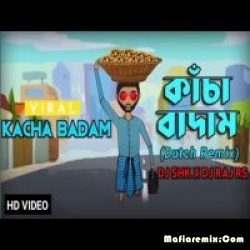 Kacha Badam - Tiktok Viral (Dutch Remix) - DJ SHK X DJ RAJ RS