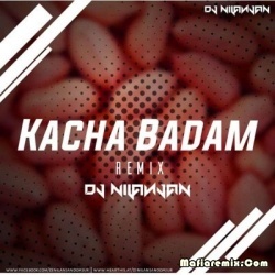 Kacha Badam Dj Song - DJ Nilanjan