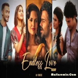 Endless Love Mashup  - Vinick - Bollywood Lofi  2021