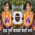 Dekh Tuni Bayko Kashi Nachi Rayni Marathi Remix - DJ Abhishek