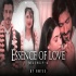 Essence of Love Mashup - 4  - Amtee - Bollywood Lofi