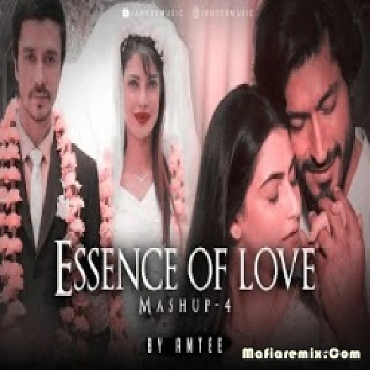 Essence of Love Mashup - 4  - Amtee - Bollywood Lofi