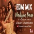 Nadiyon Paar (Let the Music Play Edm Mix) Dj Shailesh x Dj Mahesh Kolhapur