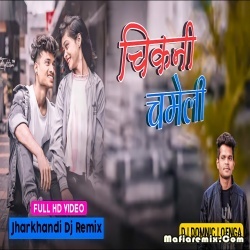 Chikni Chameli Chhodi Roj Dina Re  Nagpuri Remix - Dj Domnik