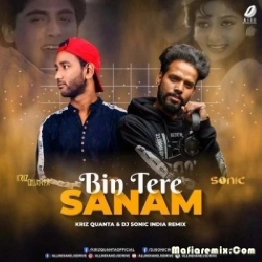 Bin Tere Sanam (Remix) - Kriz Quanta x DJ Sonic India