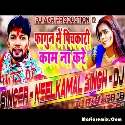 Fagun Me Pichkari Kaam Na Kare - Remix - Dj Akhil Raja