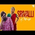 Srivalli - Pushpa (Remix) - DJ NYK