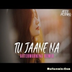 Tu Jaane Na (Remix) - Aftermorning