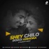 Shey Chilo Boroi Anmona (Remix) - VJ Sanjoy