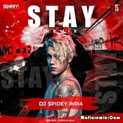 Stay - Justin Bieber (Remix) - Dj Spidey India