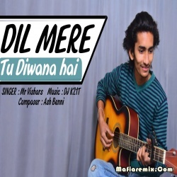 Dil Mere To Diwana Hai  Cover Remake -  MR. VISHARS by DJ K21T