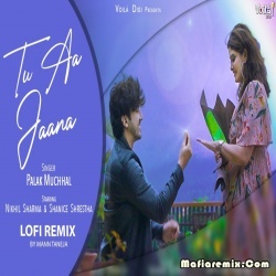 Tu Aa Jaana - Lofi Remix