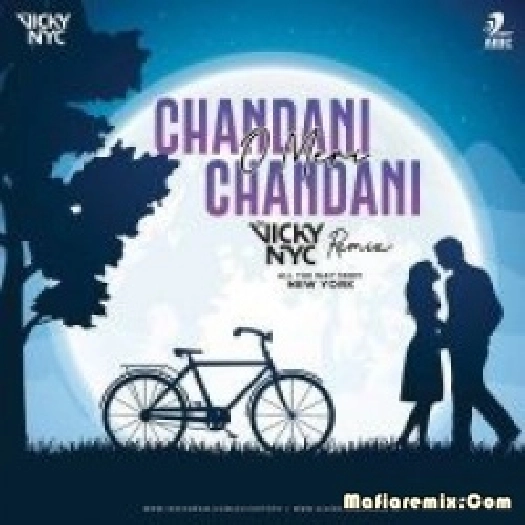 Chandani O Meri Chandani (Remix) - DJ Vicky Nyc