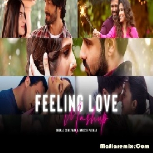 Feeling Love LoFi Mashup Remix 2022 - Naresh Parmar