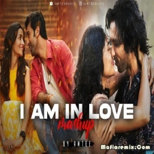 I Am In Love  Bollywood Lofi Mashup - Amtee