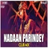 Nadaan Parinde Club Mix DJ Ravish DJ Chico DJ Ankit