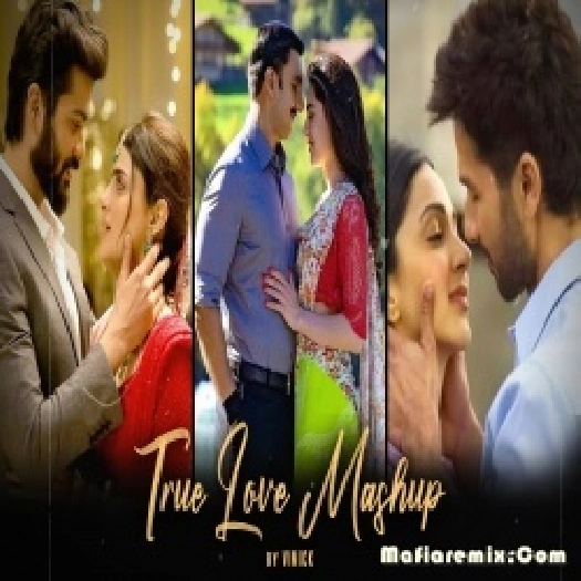 True Love Mashup Bollywood Lofi - Vinick  2022