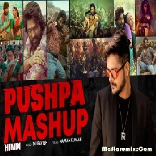 Pushpa Mashup (Hindi) DJ Ravish