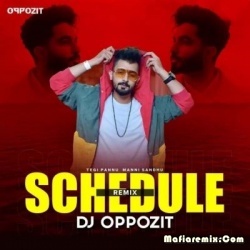 Schedule (Remix) - DJ Oppozit