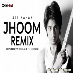 Jhoom Remix - DJ Shadow Dubai x DJ Shouki