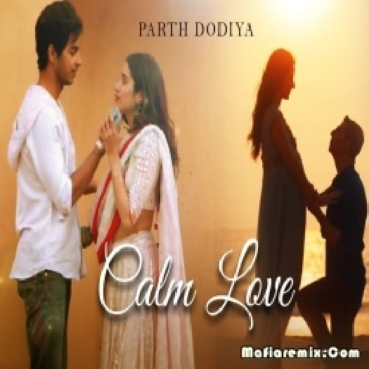 Calm Love Lofi Mashup  - Parth Dodiya