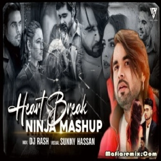 Punjabi Heart Broken Mashup - DJ Rash